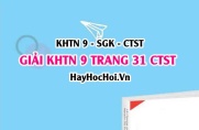 Giải KHTN 9 trang 31 Chân trời sáng tạo SGK